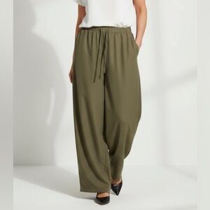 3 for $10 NWOT SHEIN Curve Women’s Green Pants